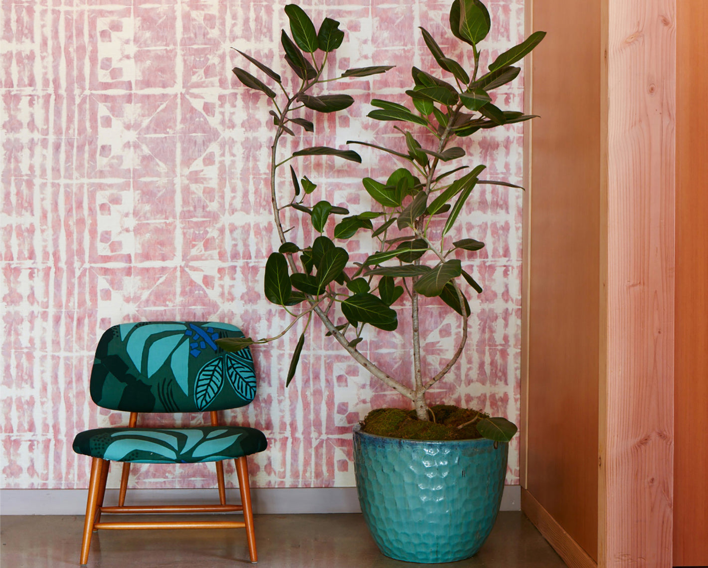 A chair with a plant in front of a wall