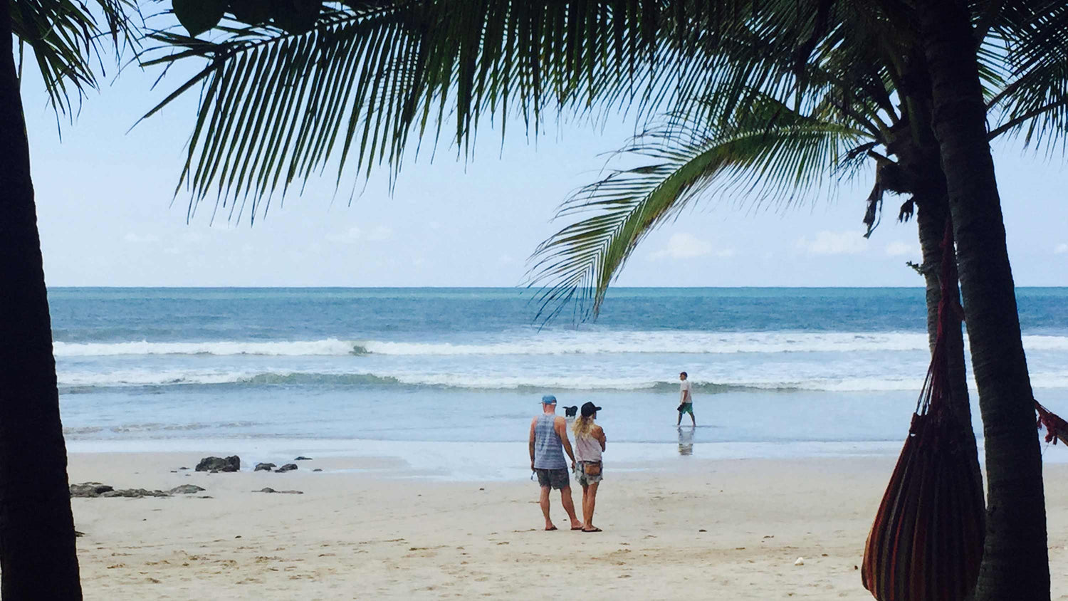 Two people standing on a beach with palm trees