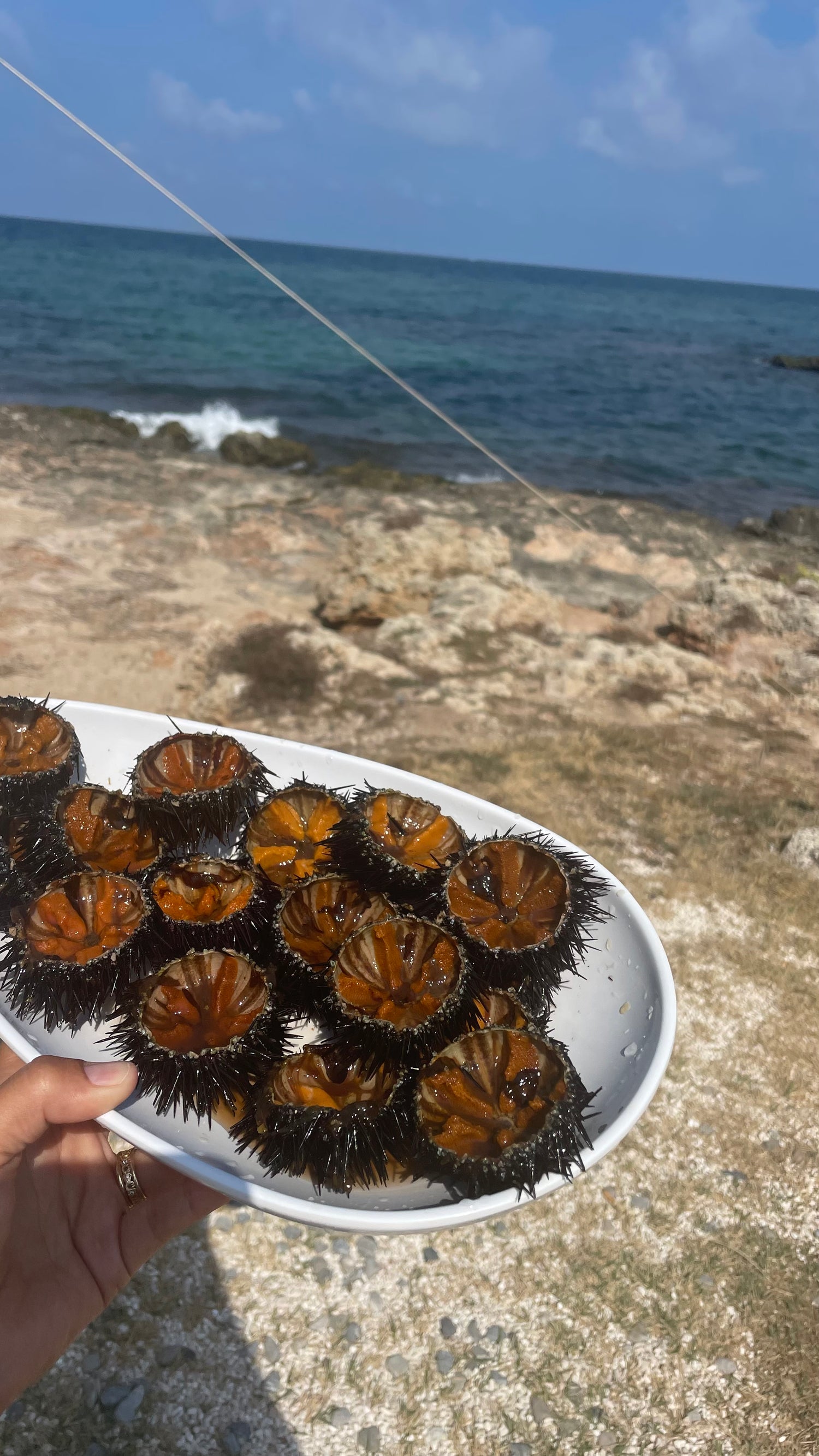 Ricci sea urchins at Principe Del Mare
