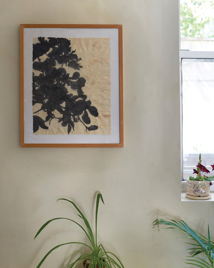 Framed artwork on a wall with plants and a window in the background