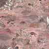 Atoll Silk Wallcovering||Coral
