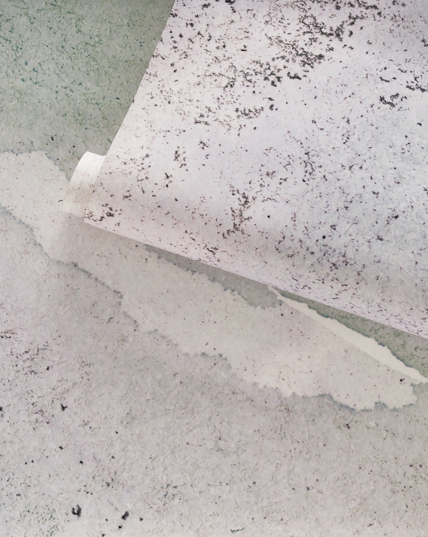 A piece of wallpaper with Mod Mural Wallwallpaper Spruce on it
