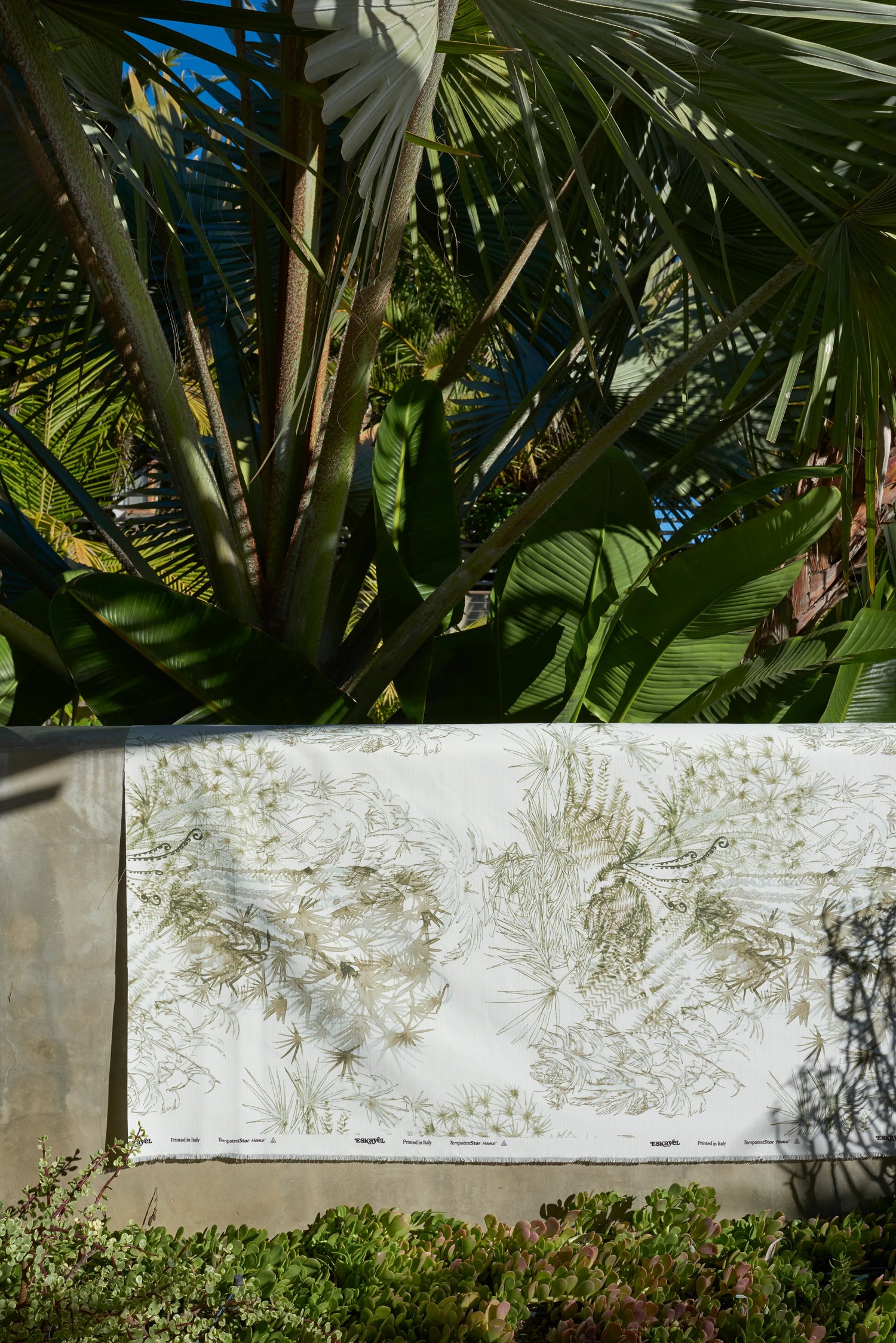 Domenica with palm trees