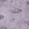 Shoal Fabric||Cay
