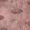 Shoal Fabric||Coral
