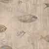 Shoal Fabric||Shell