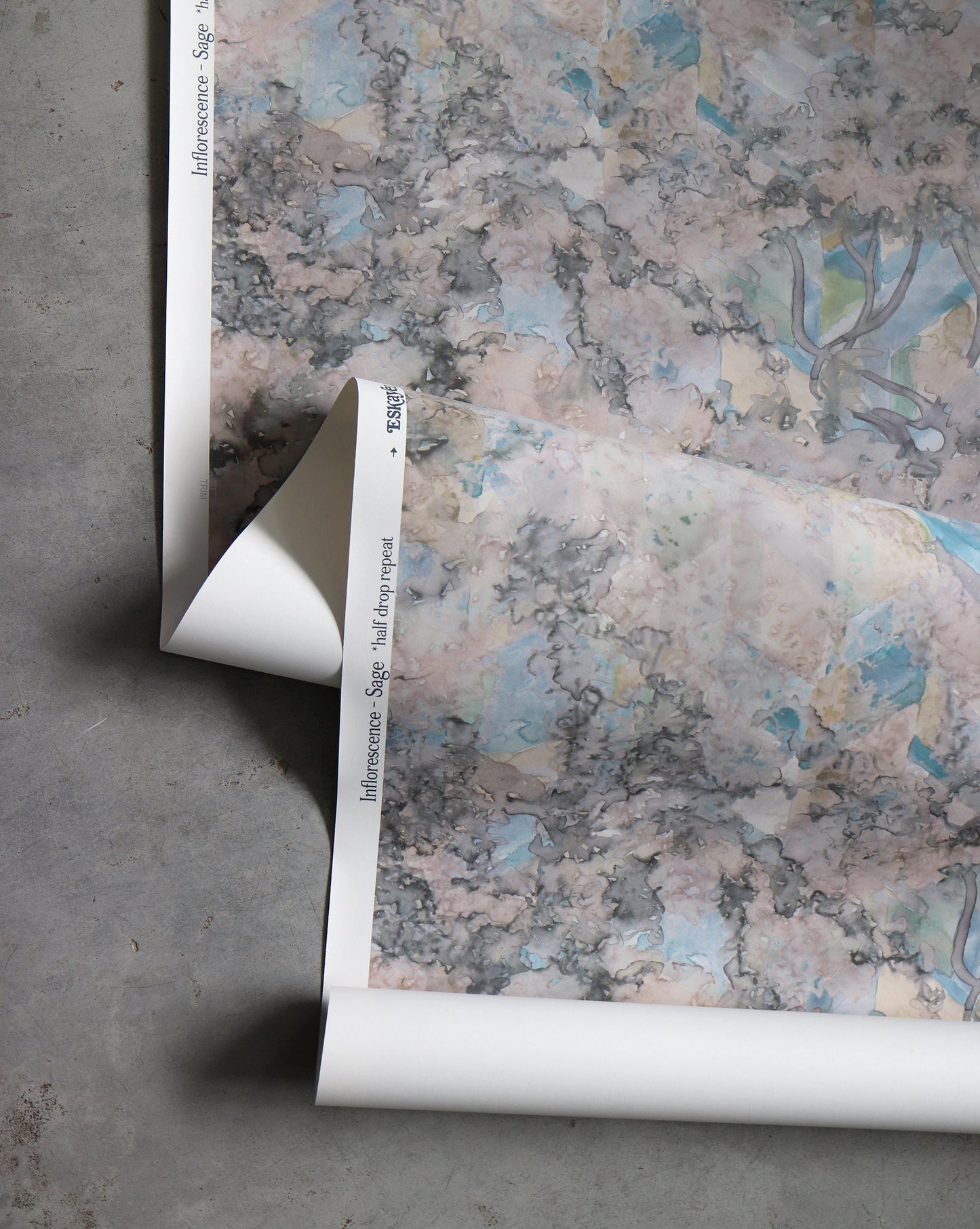 A roll of Inflorescence Wallpaper Sage with a sage colorway inflorescence design