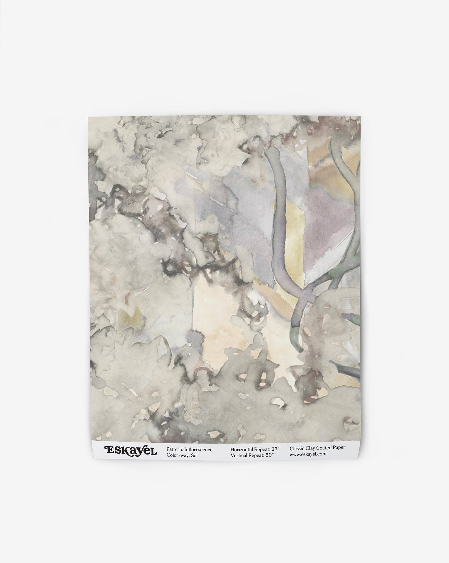 Inflorescence Wallpaper Sample Sol