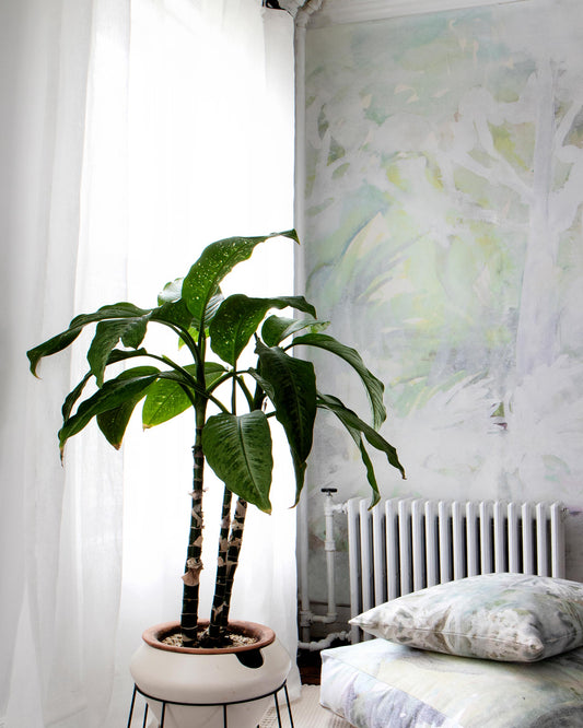 A Regalo di Dio Wallpaper Mural Luminosa on a table in a room