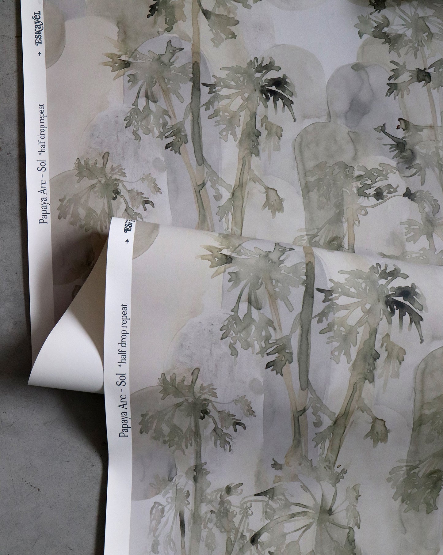 A piece of Papaya Arc Wallpaper with tropical abundance in Costa Rica