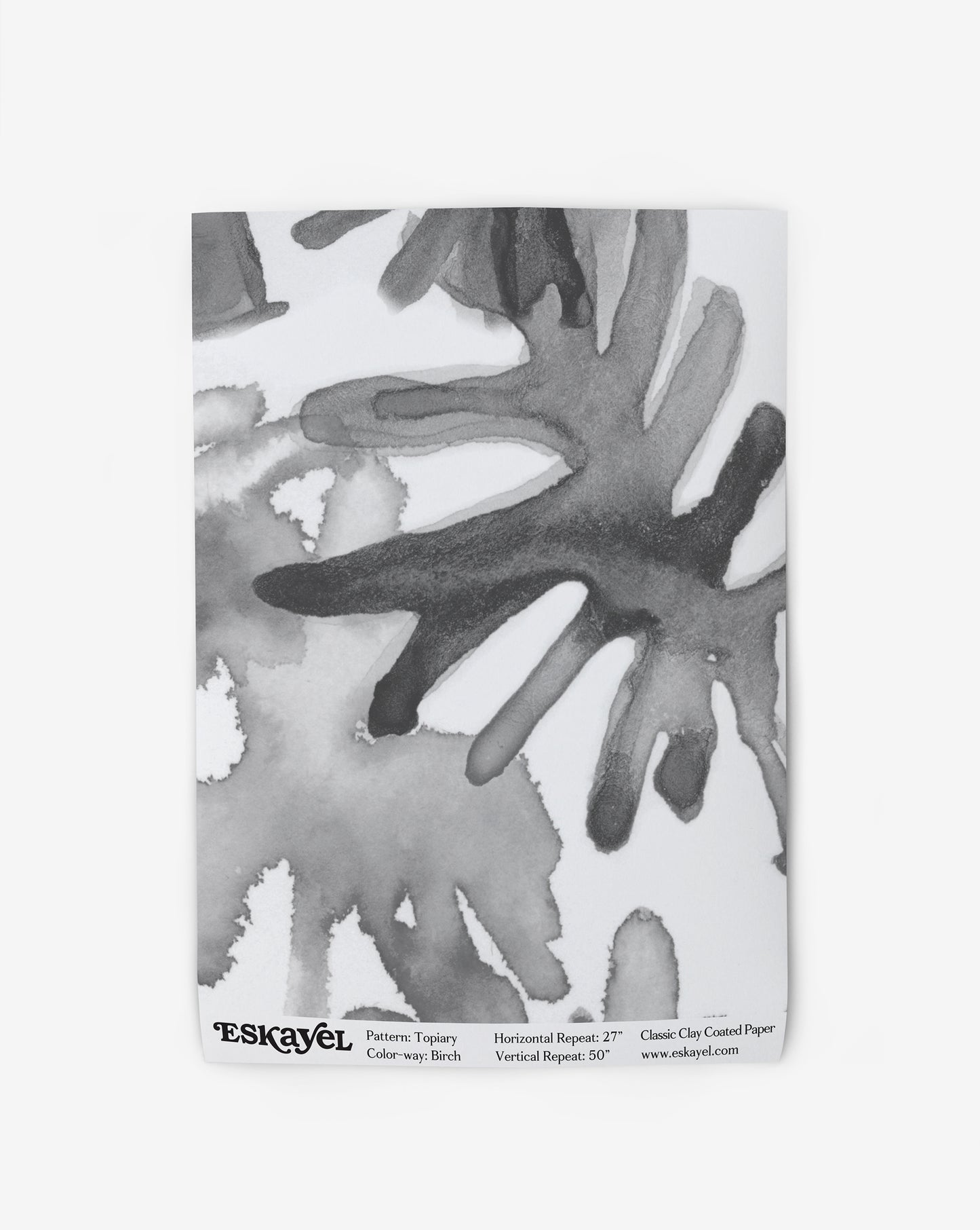 A black and white watercolor painting with a botanical design on wallpaper called Topiary Wallpaper Birch on wallpaper