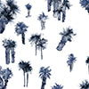 Perfect Palm Wallpaper||Midnight
