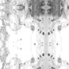 Roman Ram Fabric||Greyscale
