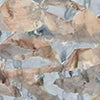 Mani Wallpaper||Isthmus