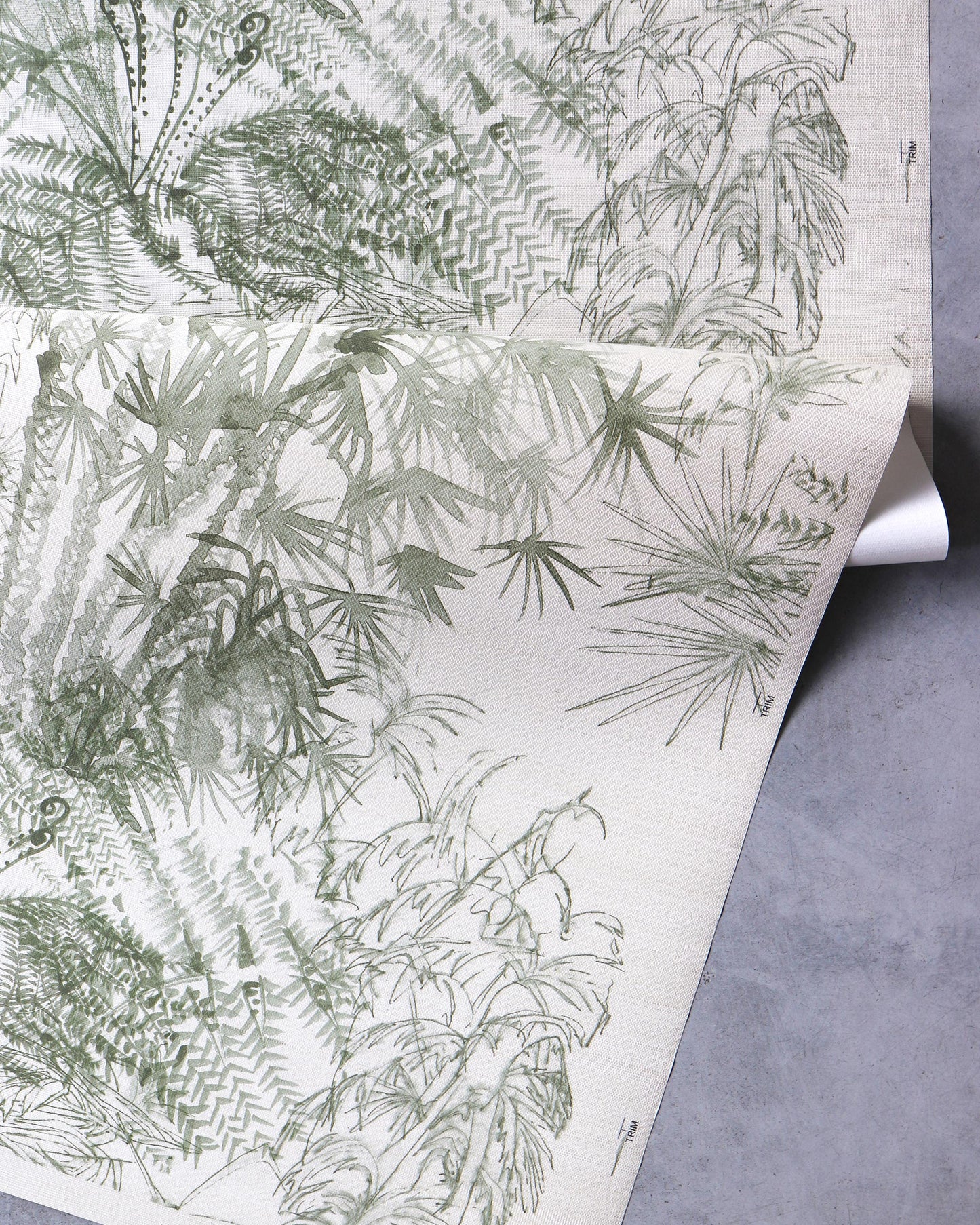 A drawing of plants on a Domenica Grasscloth Brush pattern