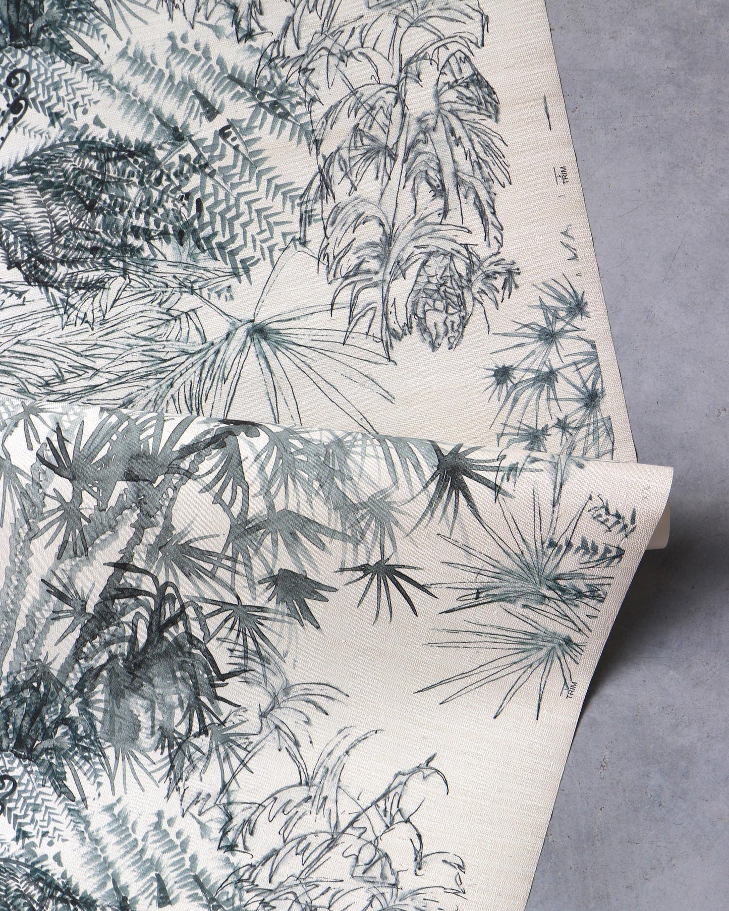 A piece of wallpaper with a drawing of plants from the Domenica Grasscloth Notte pattern in the Salentu Collection