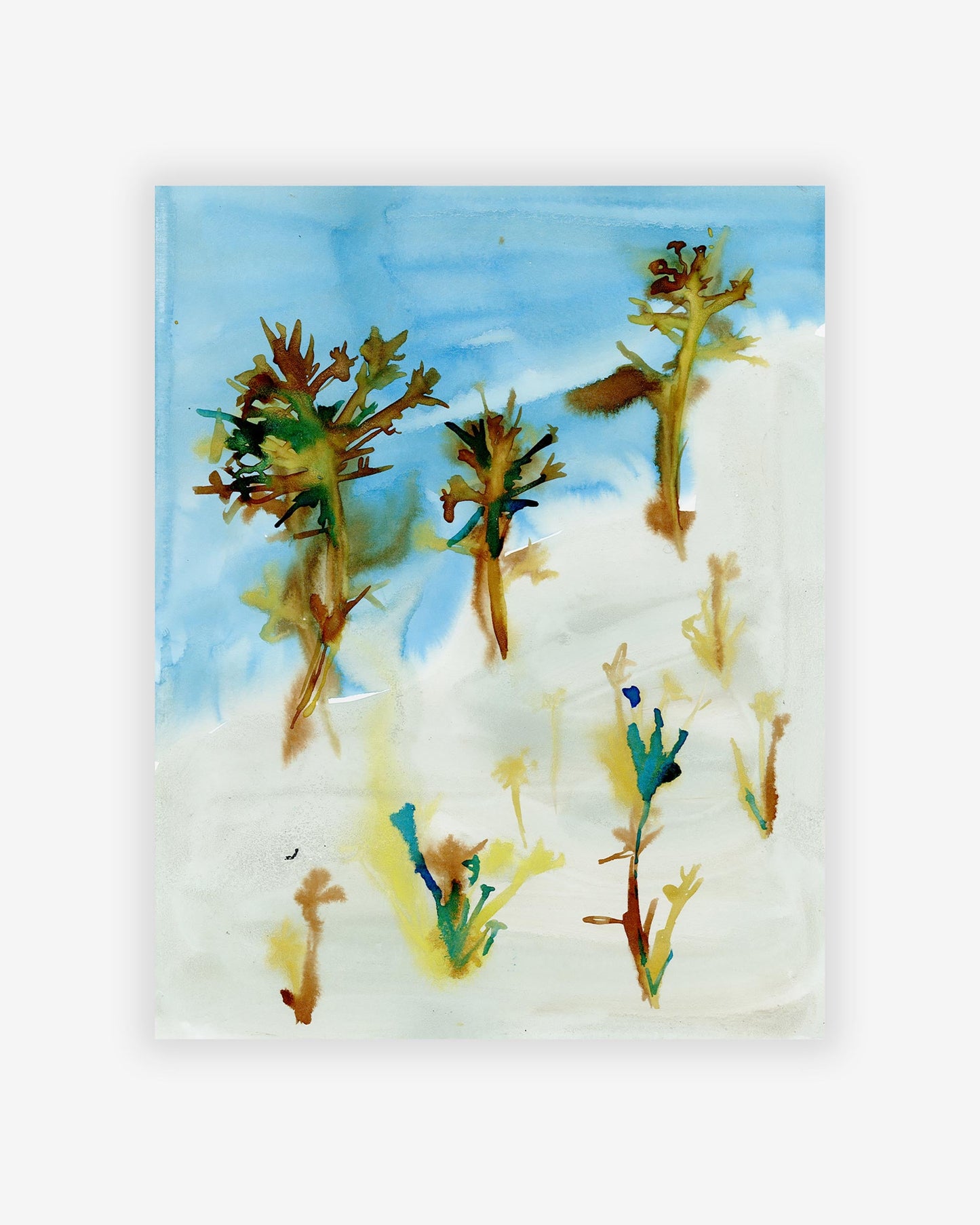 An artist's Monemvasia Print captures some plants on the sand, showcasing their original artworks with the unique style of Eskayel founder