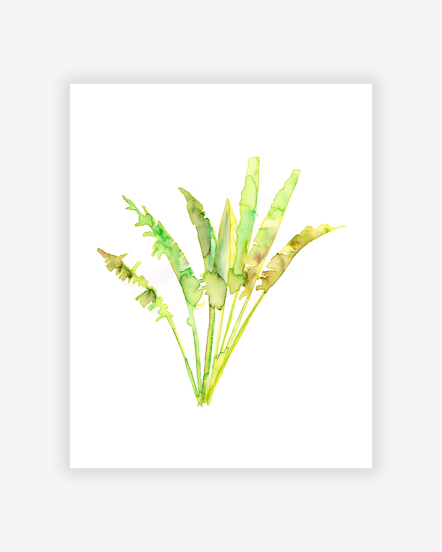 A Banana Leaf Print by the Eskayel founder of green plants