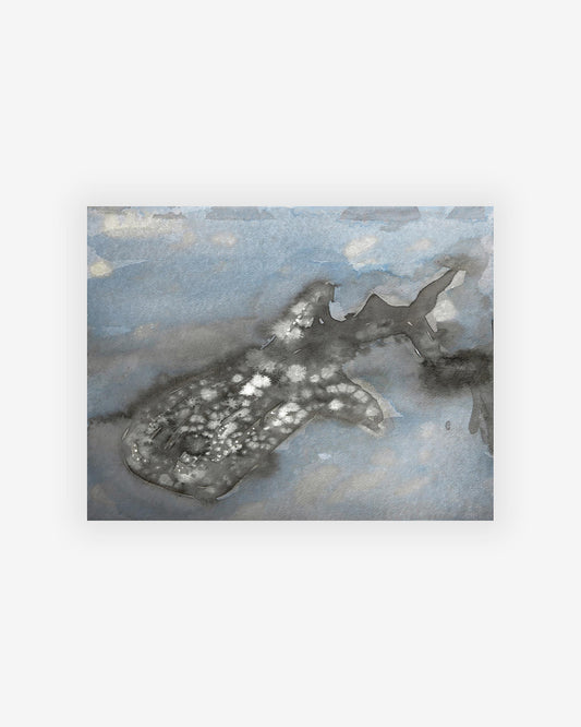 A black and white Whale Shark Print by an artist of a shark floating in the water