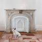 A dog sits on a Kotoubia Flatweave Rug in front of a fireplace