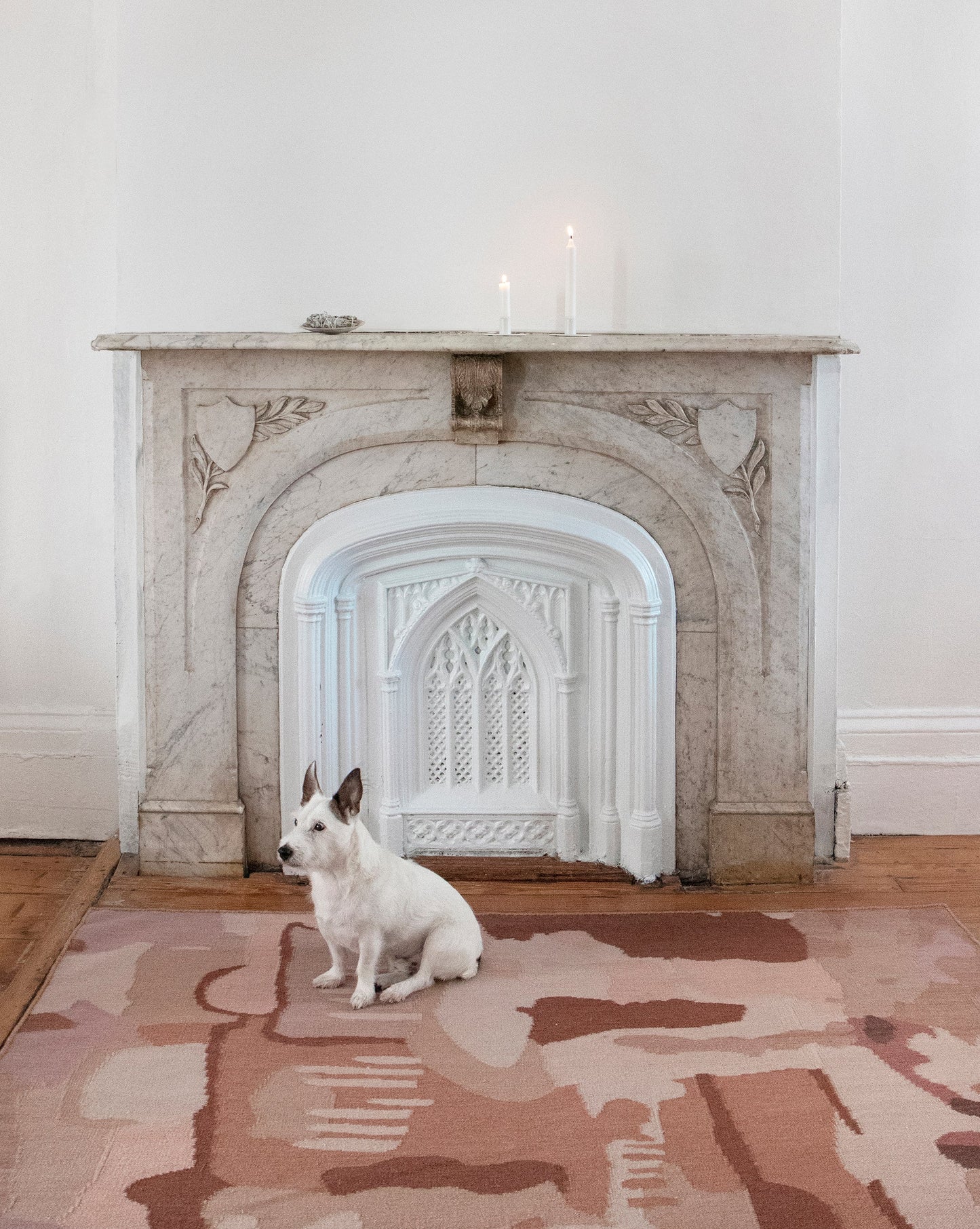 A dog sits on a Kotoubia Flatweave Rug in front of a fireplace