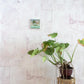 A potted plant sits on a stool in front of a luxury fabric pink wall, adorned with the Cherifia Wallpaper Lumier