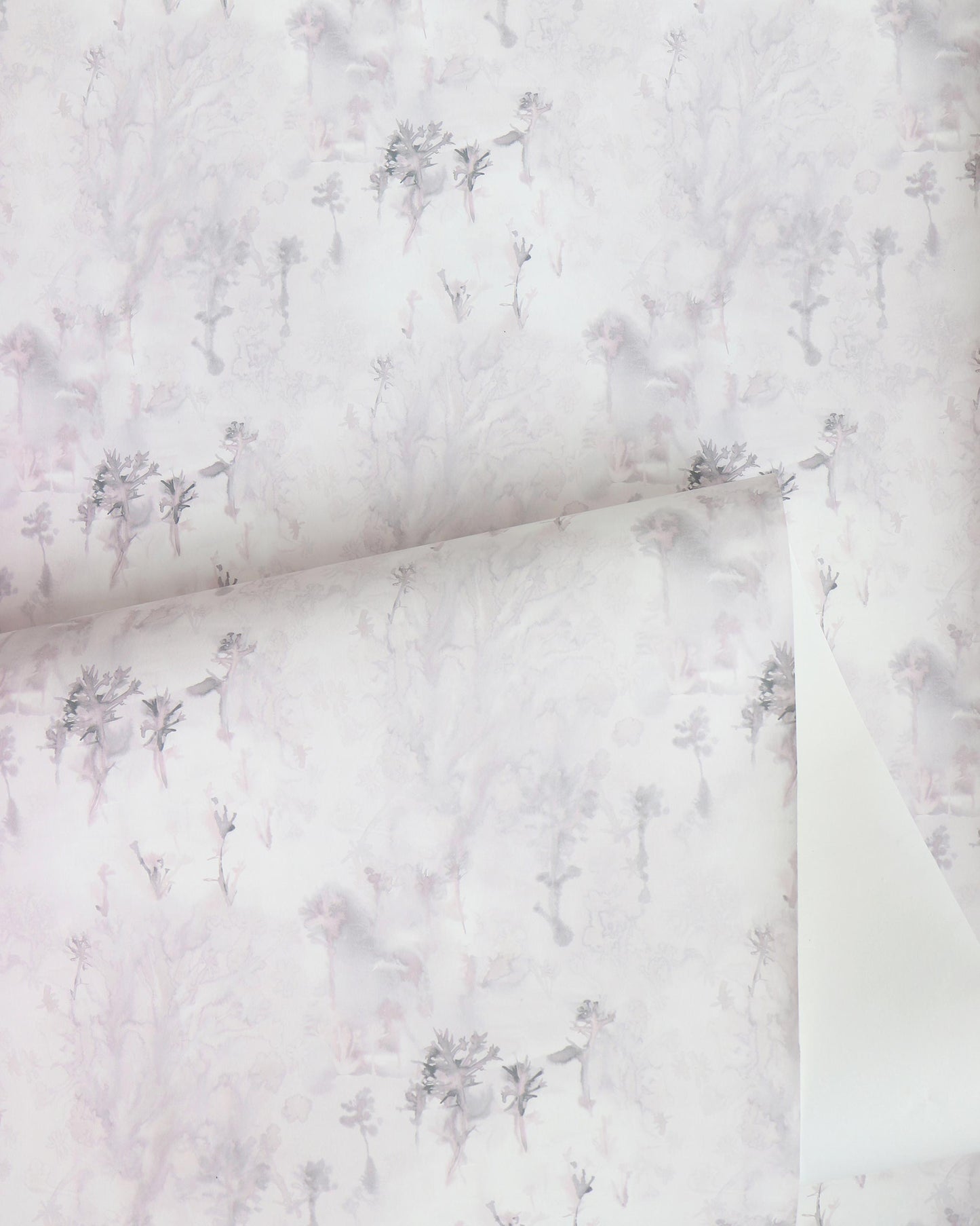 An image of Emvasia Wallpaper||Alba, a white and grey landscape with a tree on it.