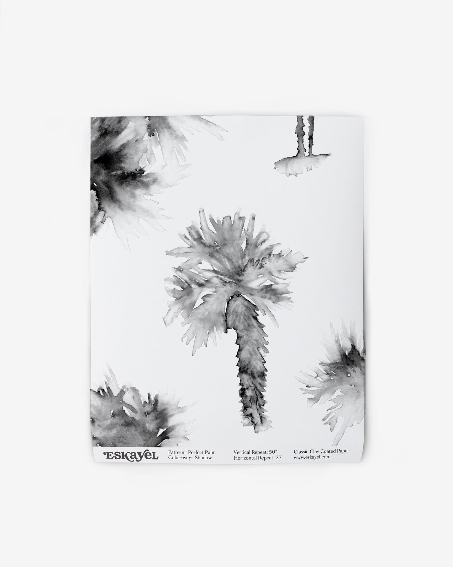A watercolor style drawing of Perfect Palm Wallpaper Shadow on wallpaper