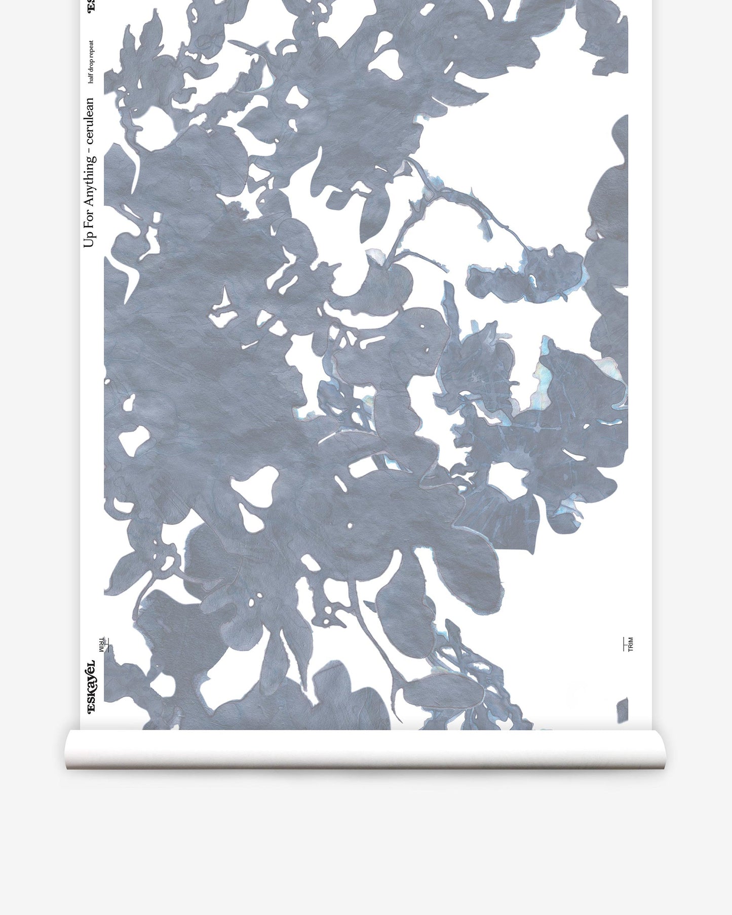 Up For Anything Wallpaper||Cerulean