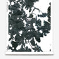 A monochrome print of botanical leaves on the Up For Anything Wallpaper Nila