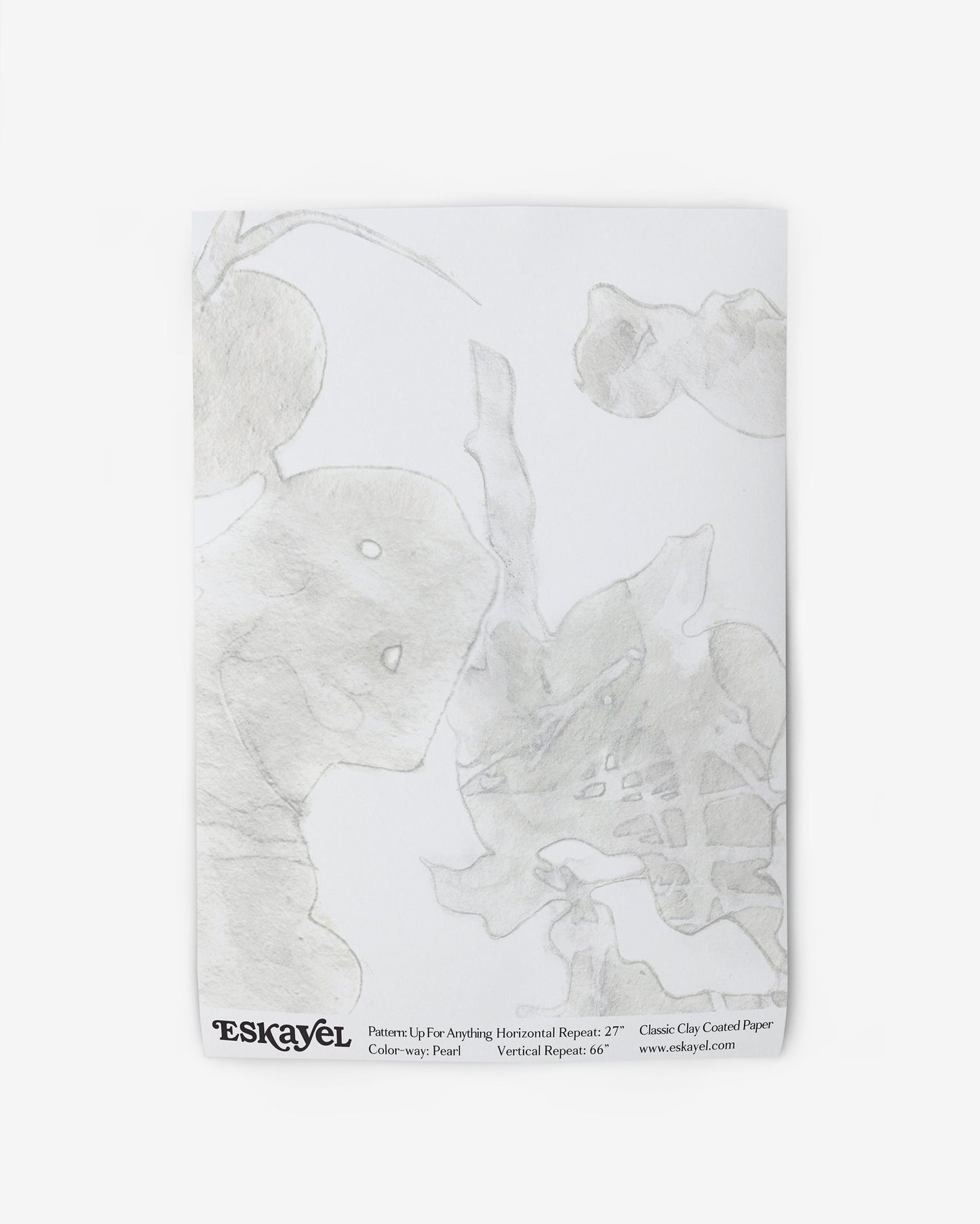 A white piece of Up For Anything Wallpaper Pearl with a botanical pattern drawn in