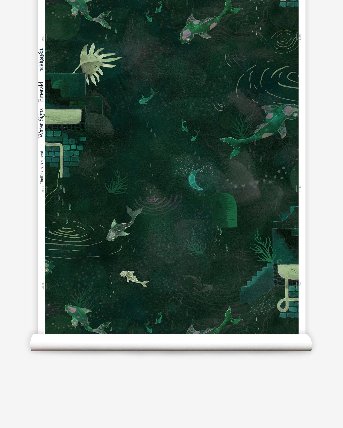 A Water Signs Wallpaper Emerald with a lot of fish in it