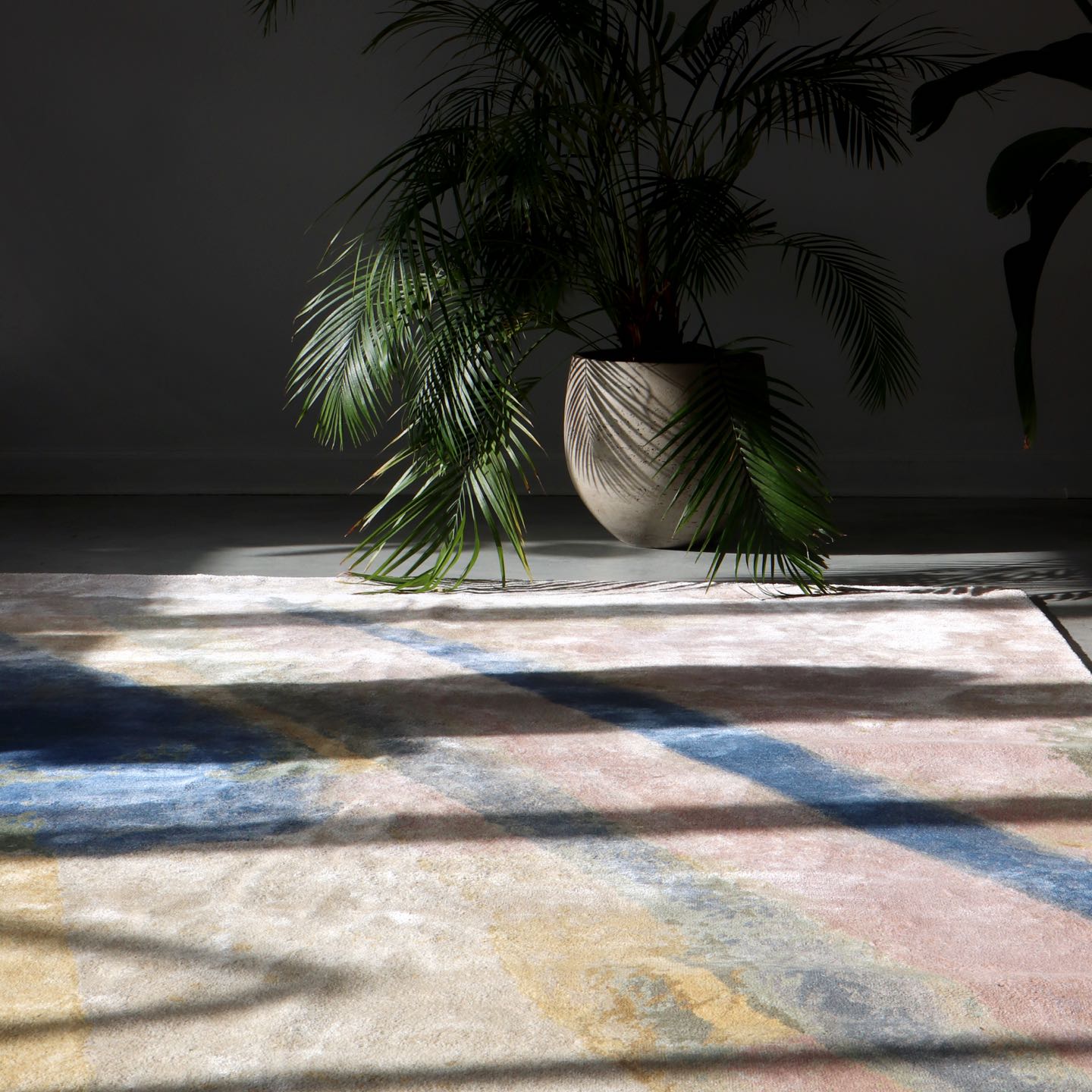 A rug in a room with a plant