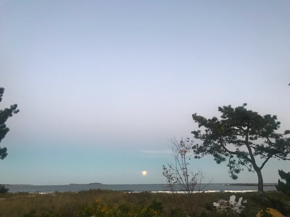 A full moon rising over a beach and trees