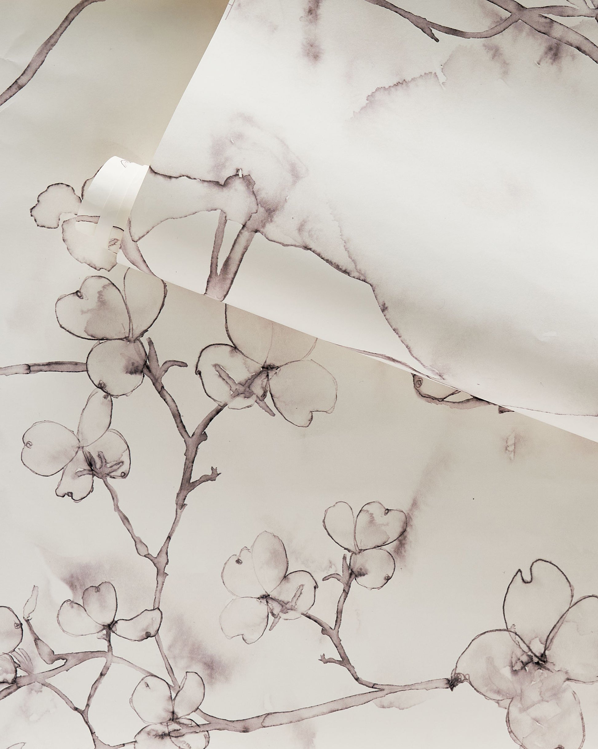 An image of Dogwood Dreams Wallpaper with botanical design featuring flowers