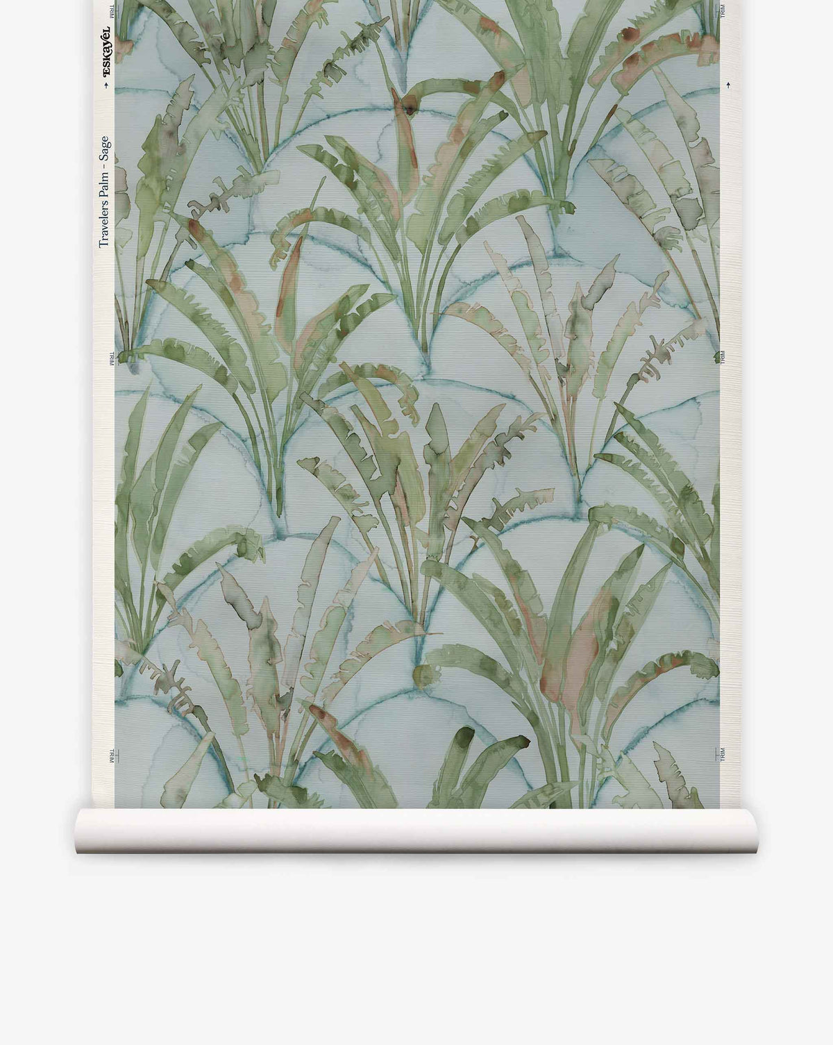 Travelers Palm Grasscloth in Sage featuring a biophilic pattern of repeating watercolor green palm leaves in overlapping fan shapes against a pale blue grasscloth background.