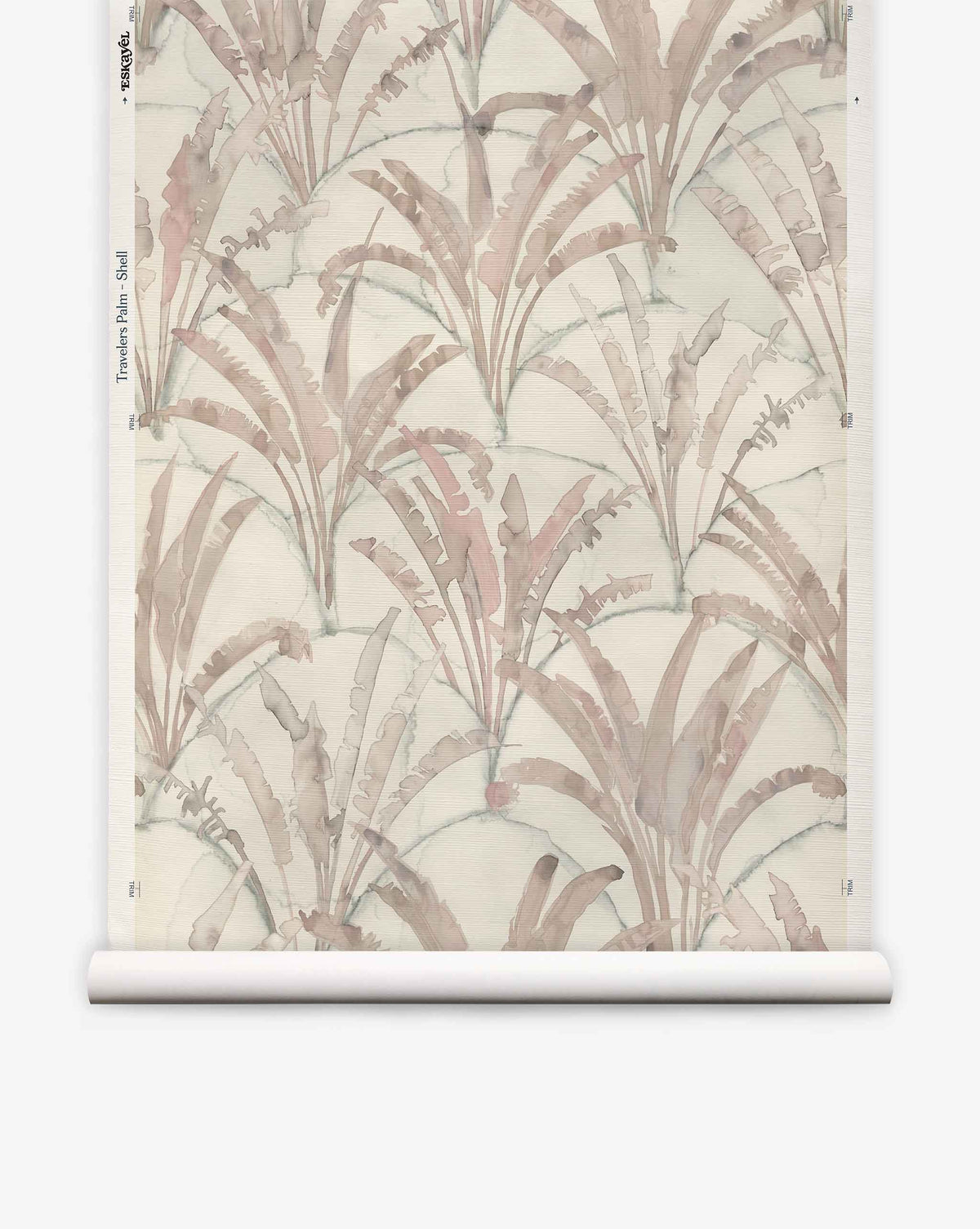 Travelers Palm Grasscloth in Shell wallpaper featuring a biophilic pattern of muted brown tropical palm leaves on a light, textured hand-woven grasscloth background.