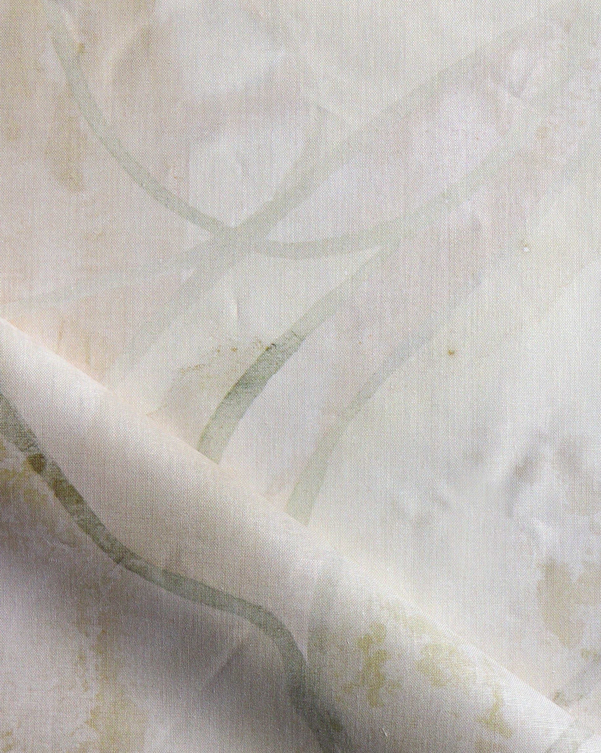 Eskayel Hibiscus Lily in Pearl is a pattern for fabric and wallpaper using yellow tones.