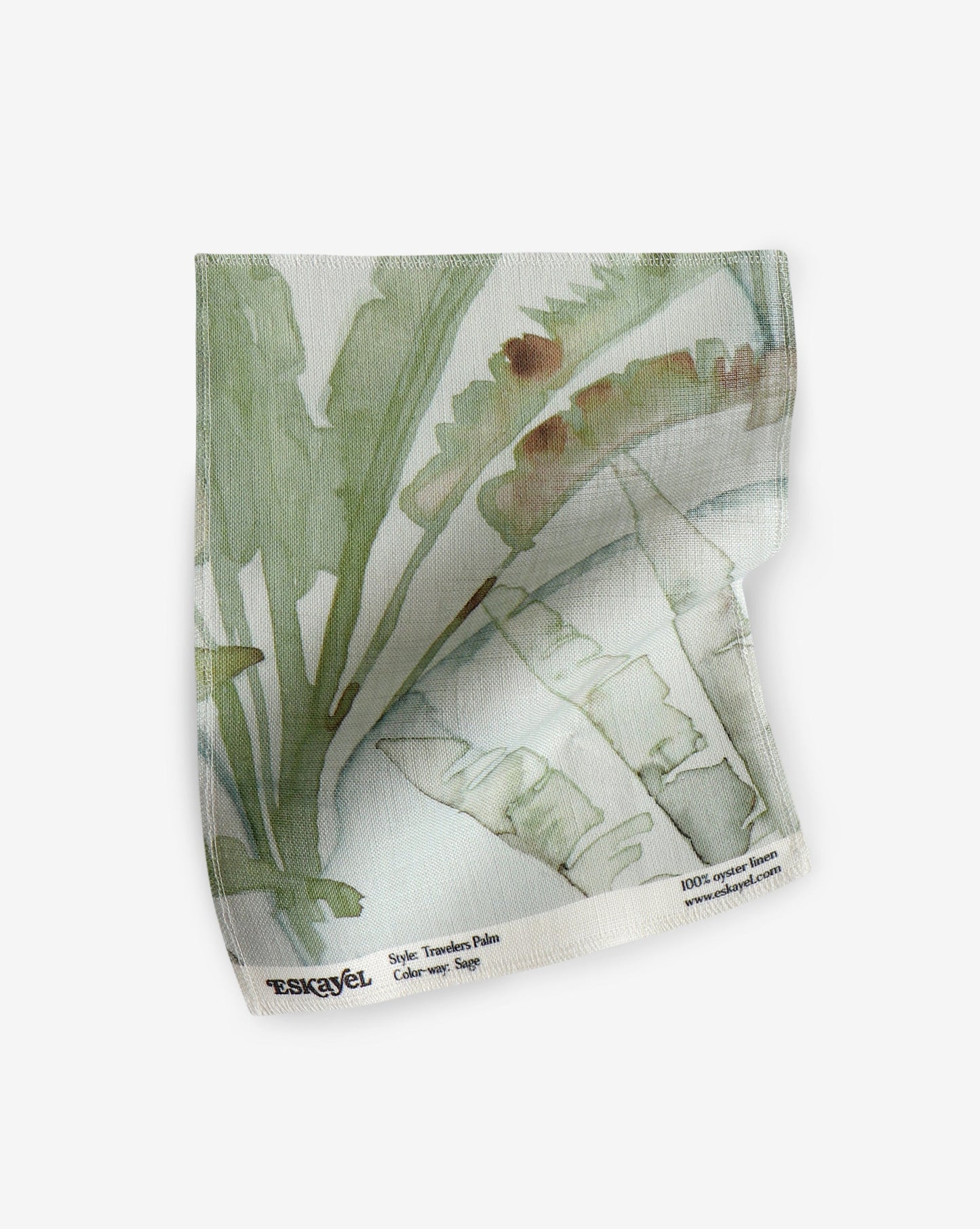 a sample of a Travelers Palm Fabric Sample Sage painting of a plant