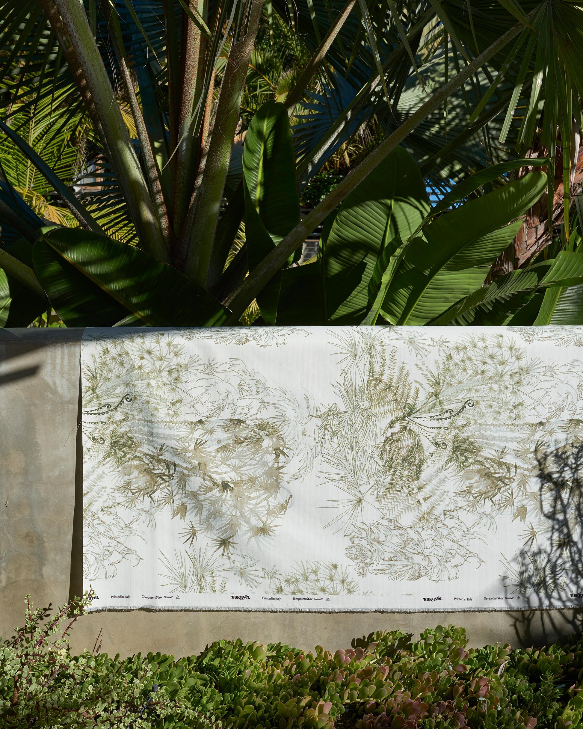 A palm tree decorates the wall, complementing the Salentu Collection's luxury Domenica Performance Fabric Brush featured in the Domenica pattern