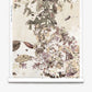 Pétalos Silk Wallcovering||Solar showcases abstract floral and leaf motifs in watercolor style, rendered in muted earthy tones and elegantly presented on a white scroll.