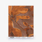 Abstract watercolor painting of large brown and orange leaves on a reddish-brown background, labeled as the Plumeria Shadows Silk Sample in Golden Hour by Eskayel. Order a sample to experience this unique wallpaper design in your space.