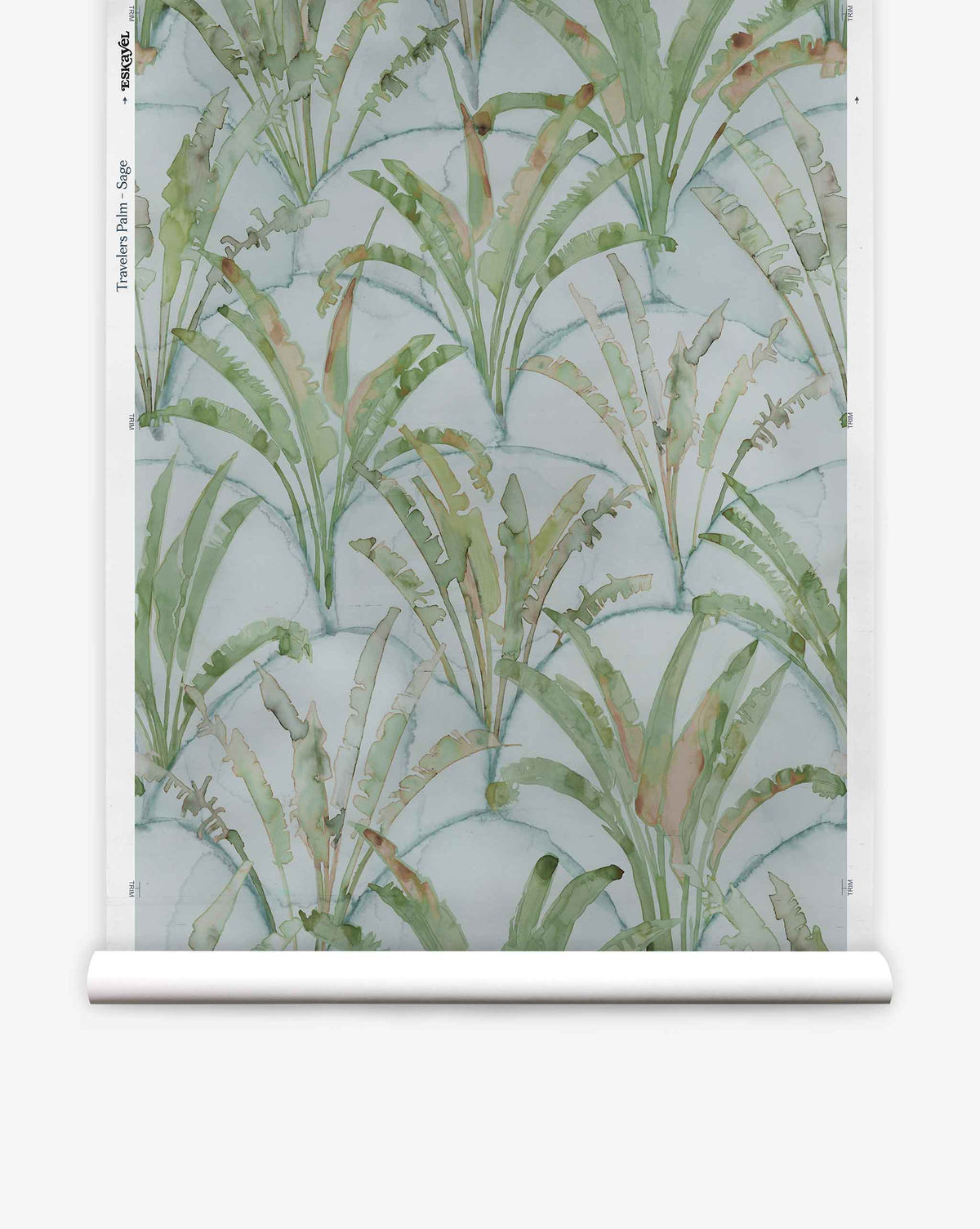 Travelers Palm Silk Wallcovering in Sage featuring a hand-painted watercolor pattern of green palm leaves in repeating arched segments on a pale blue silk background.