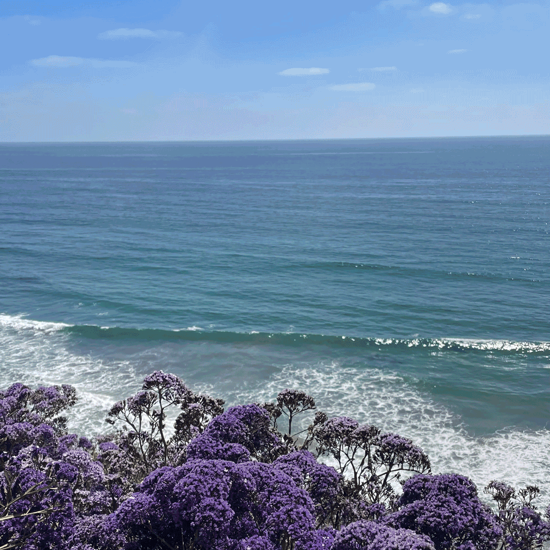 blue sky's and clear seas