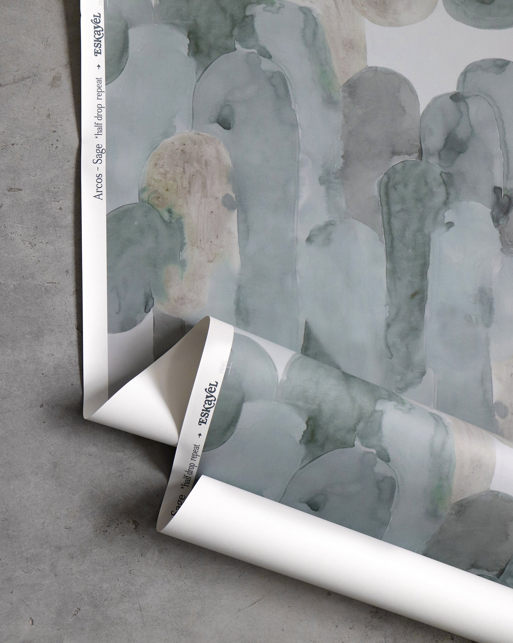A roll of clay coated paper with a watercolor painting from the Ecuatorial Geometry collection by Arcos Wallpaper Sage