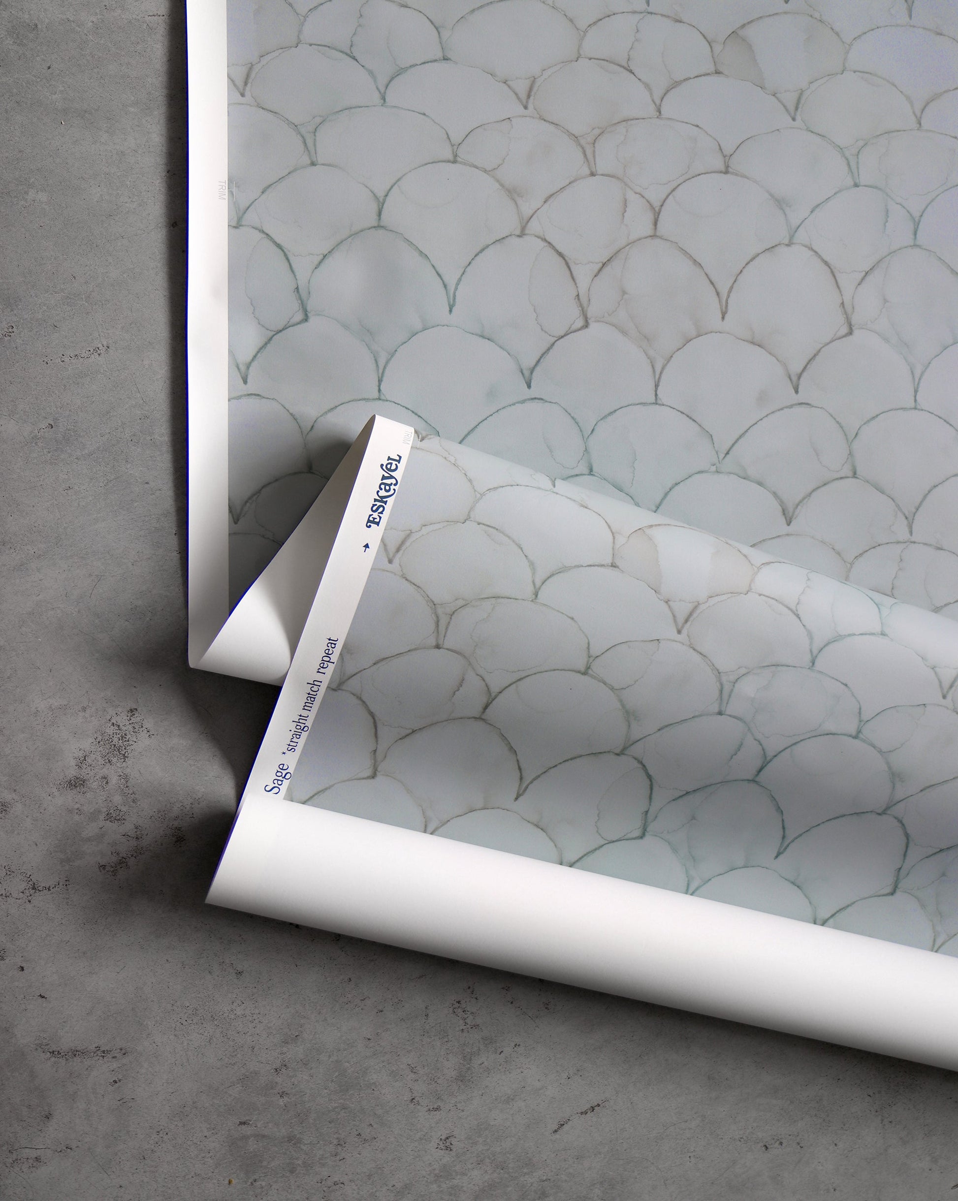 A roll of Baby Scallop Wallpaper Sage with a pattern of fish scales, inspired by tropical climates and natural patterns