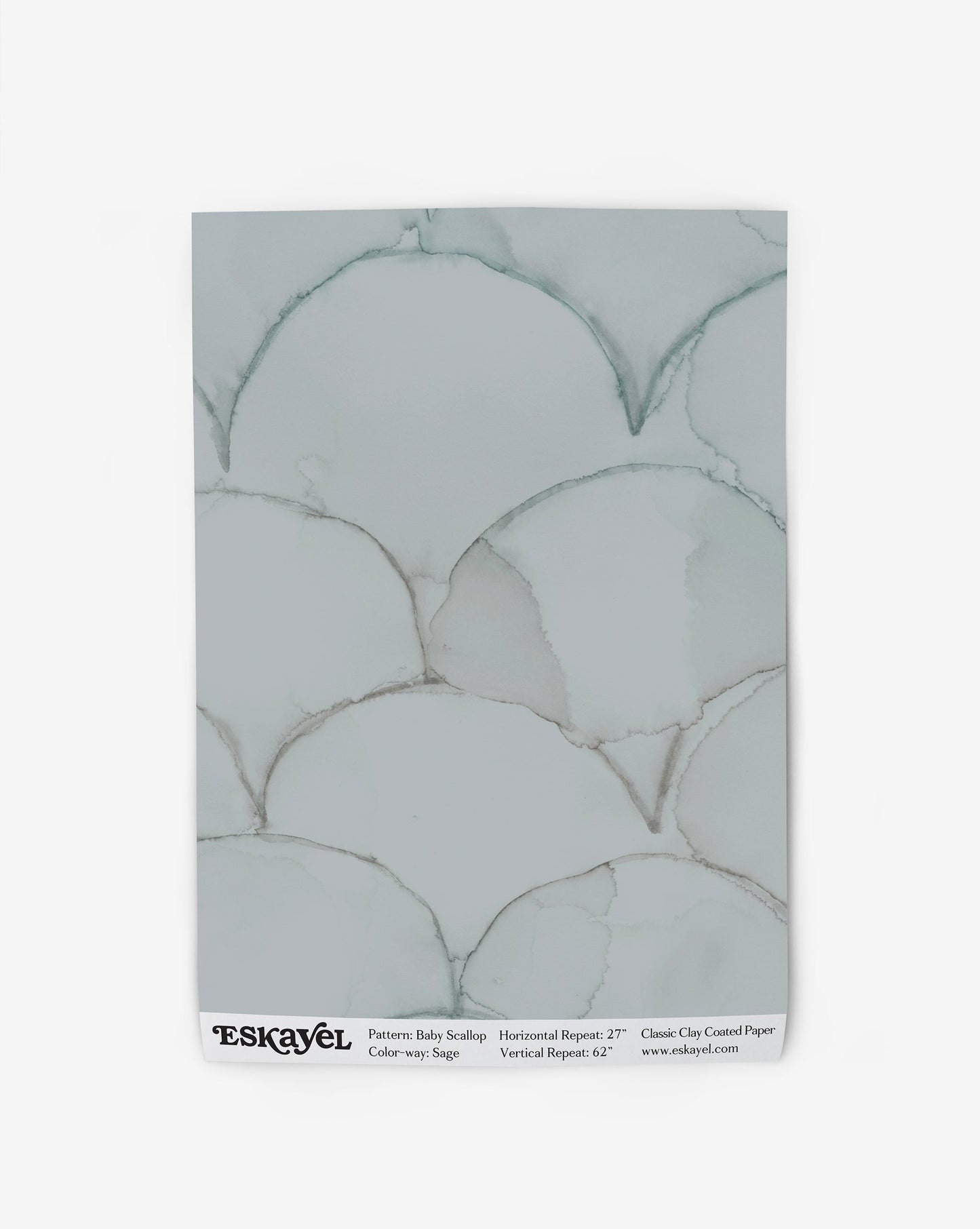 Baby Scallop Wallpaper Sample||Sage