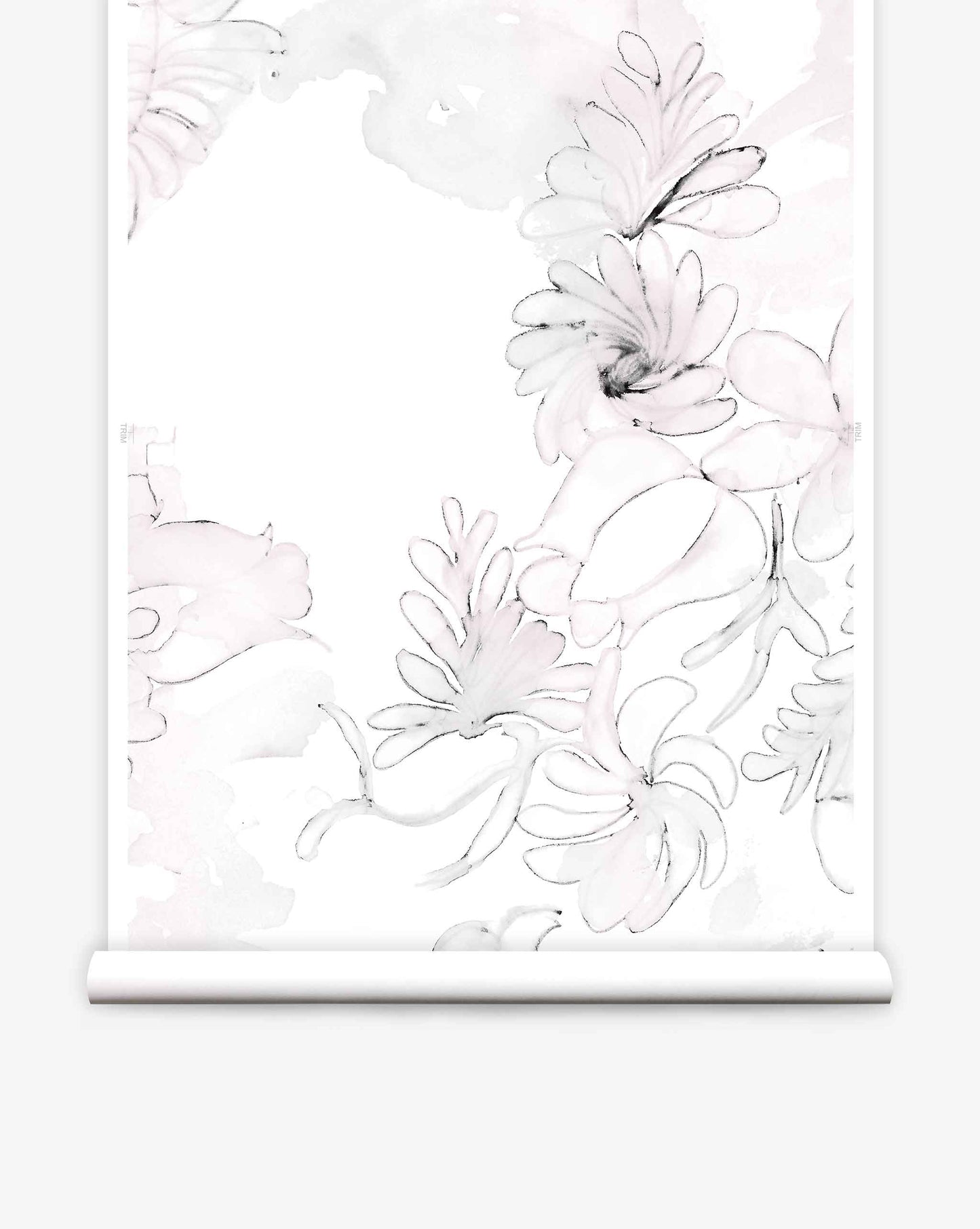 A pink and white floral Belize Blooms Wallpaper in Lumier on wallpaper.