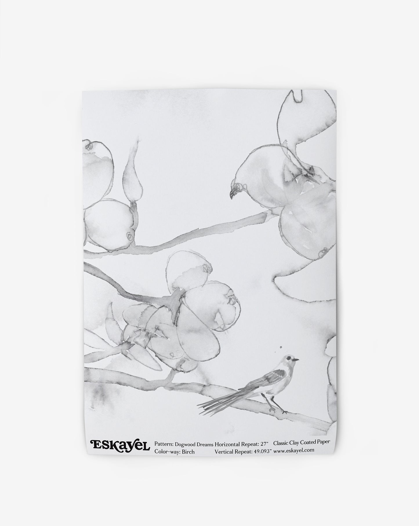 A black and white drawing of a bird on a branch with Dogwood Dreams Wallpaper Birch design