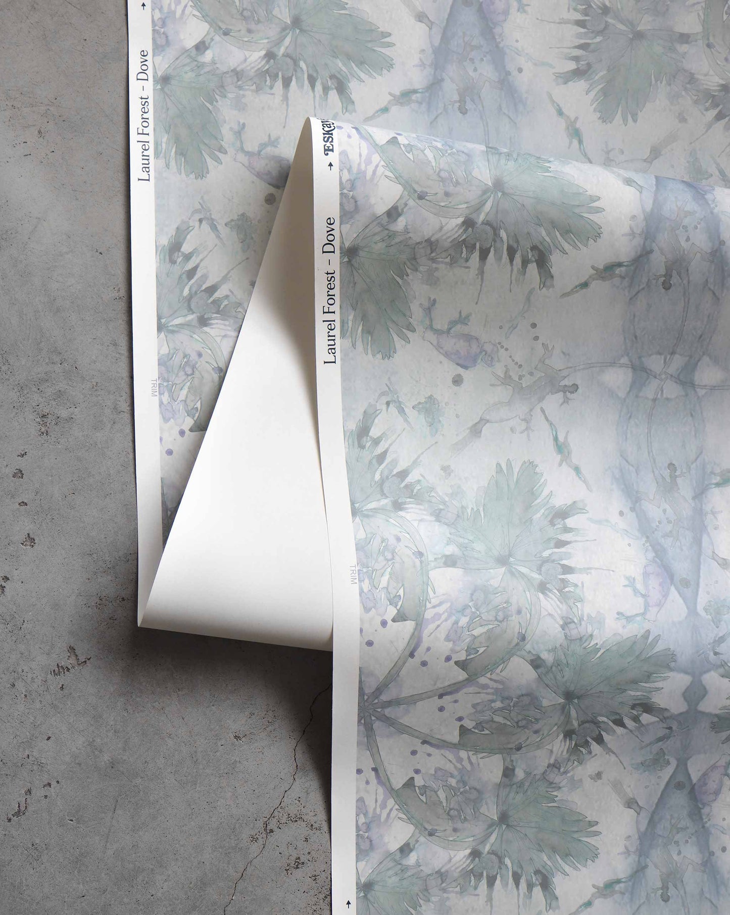 A roll of wallpaper partially unrolled, featuring a light floral pattern with leaves and branches, lies on a concrete surface. The edge reads "Laurel Forest Wallpaper||Dove," evoking a tropical atmosphere.